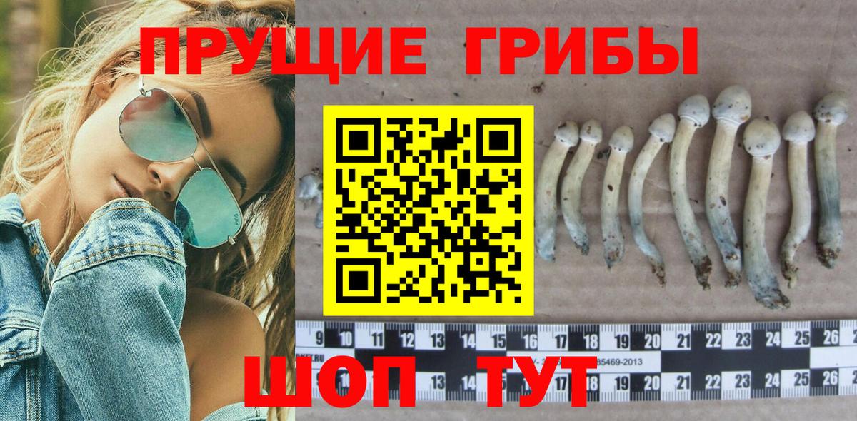 Галлюциногенные грибы прущие грибы Янаул