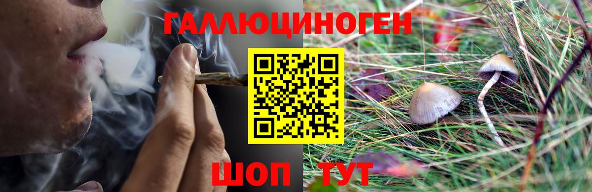 Псилоцибиновые грибы Psilocybine cubensis  Вход с VPN  Янаул 